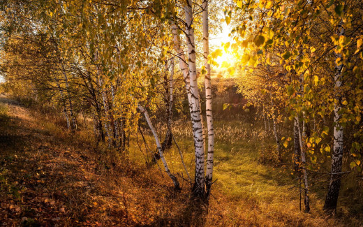935744 (a): :1920x1200